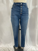 Madewell Women 9" Mid-Rise Skinny Jeans Varney Blue 33