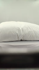 Quince Home Lightweight Premium Down Comforter White Bedding King/Cal King