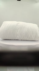 Quince Home Lightweight Premium Down Comforter White Bedding Full/Queen