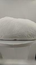Quince All-Season Luxe Goose Down Comforter White Bedding Cal King