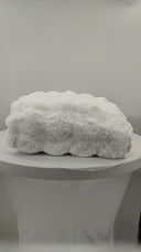 Quince All-Season Luxe Goose Down Comforter White Bedding Queen