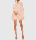 Mac Duggal Women Trapeze Dress With Feather Trim Pink 14